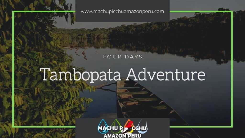 Tambopata Adventure - The Best Tambopata Tour