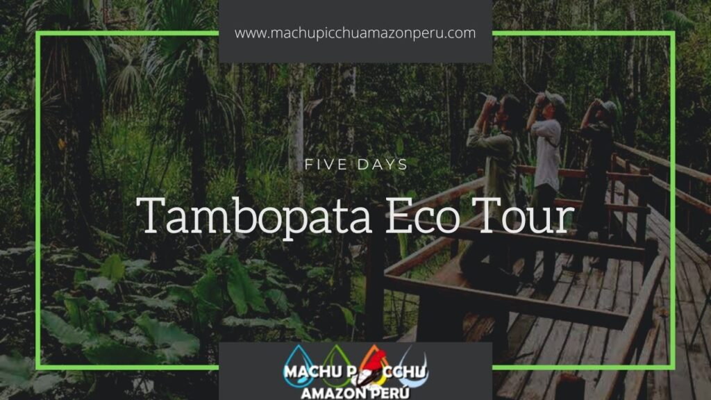 Tambopata Tour - Tambopata Eco Tours