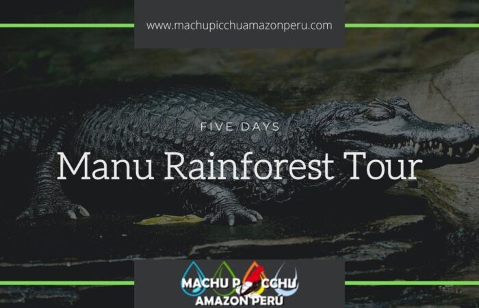 Manu Rainforest Tour
