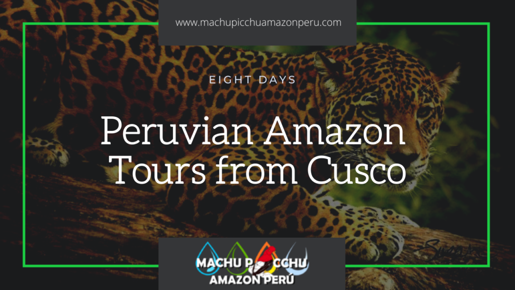 Peruvian Amazon Tours from Cusco, Cusco Tour Package