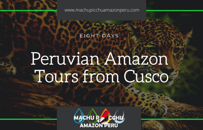 Peruvian Amazon Tours from Cusco, Cusco Tour Package