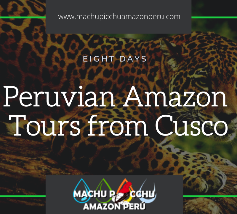 Peruvian Amazon Tours from Cusco, Cusco Tour Package