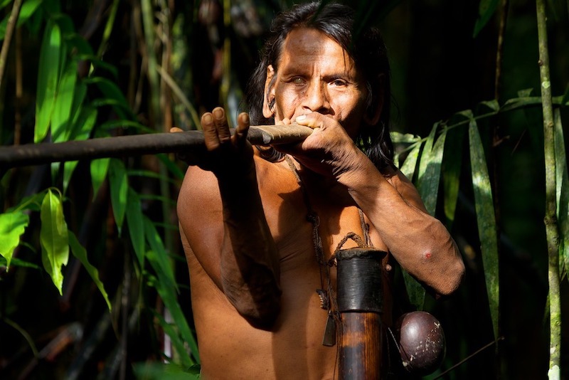 Indigenous People of the Amazon Rainforest