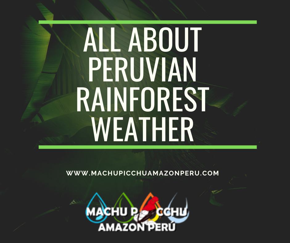 All about Peruvian Rainforest Weather