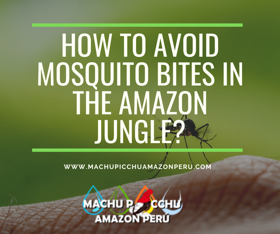 How To Avoid Mosquito Bites In The Amazon Jungle?