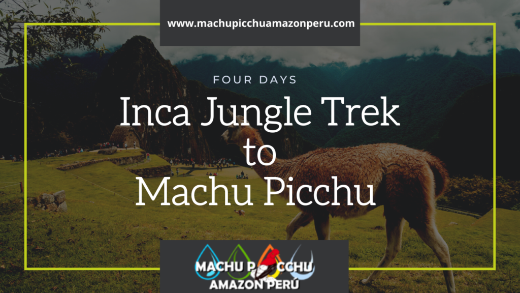 Inca Jungle Trek to Machu Picchu