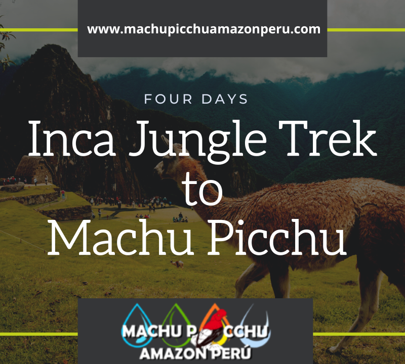 Inca Jungle Trek to Machu Picchu