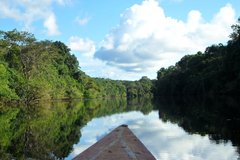 Pacaya Samiria: The Jewel of the Amazon Basin