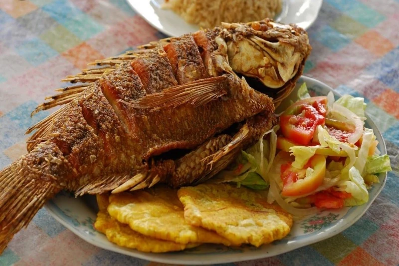Peru's Selvatic Gastronomy