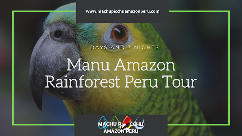 Manu Amazon Rainforest Peru Tour
