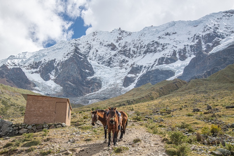 Salkantay Trek: A Journey to Machu Picchu