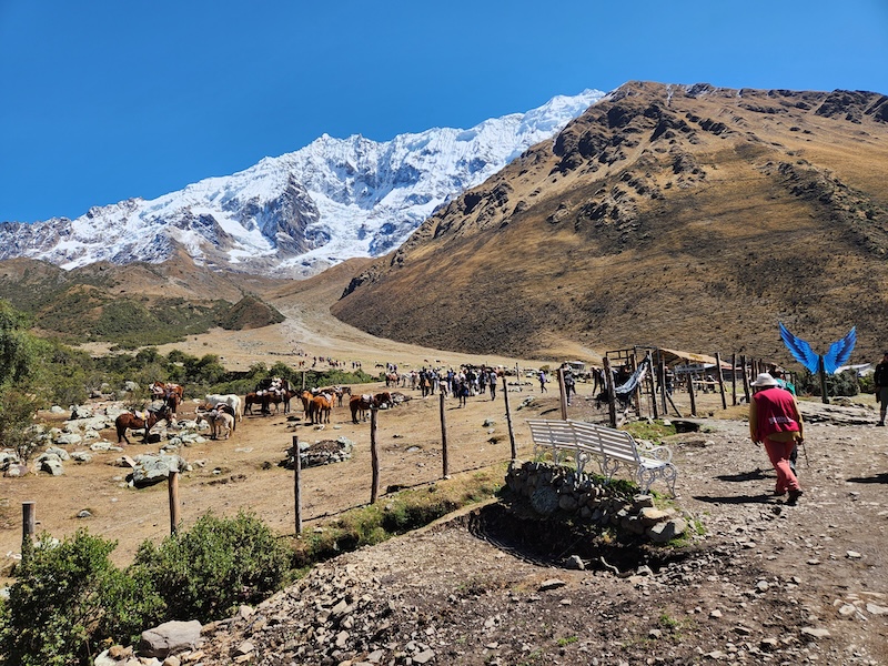 Salkantay Trek