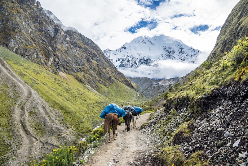 Salkantay Trek